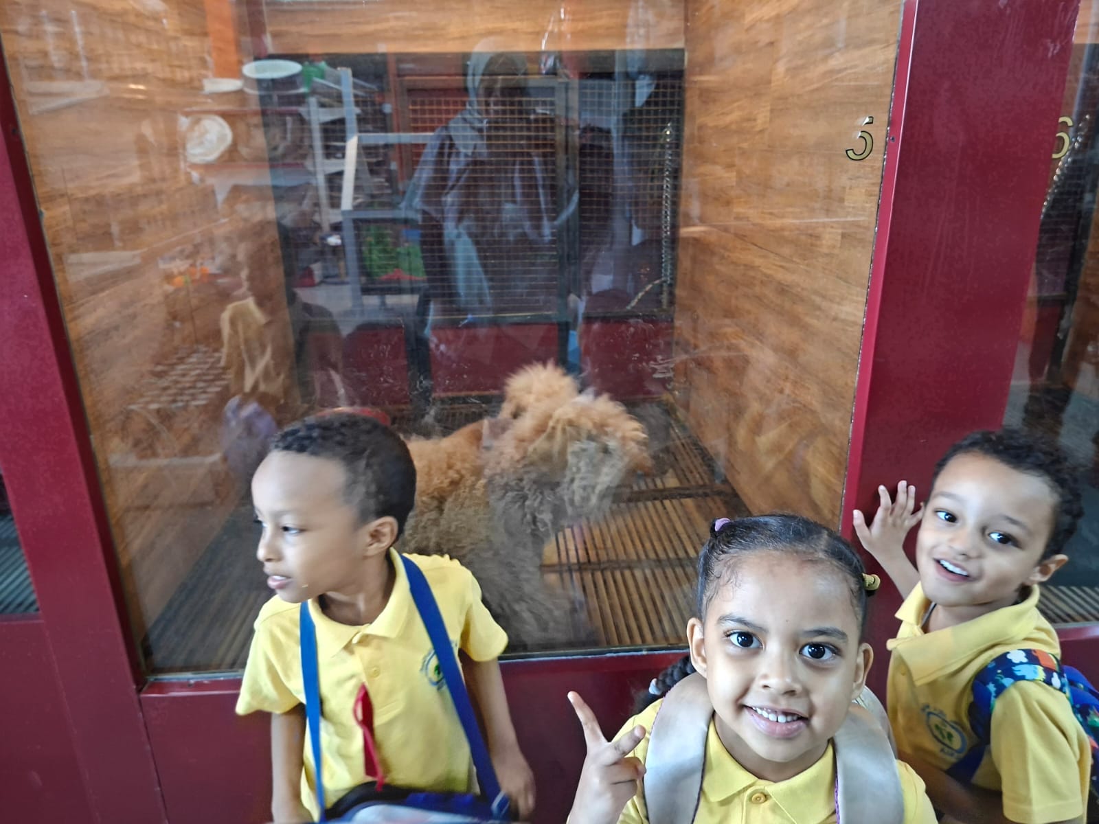Students on a trip